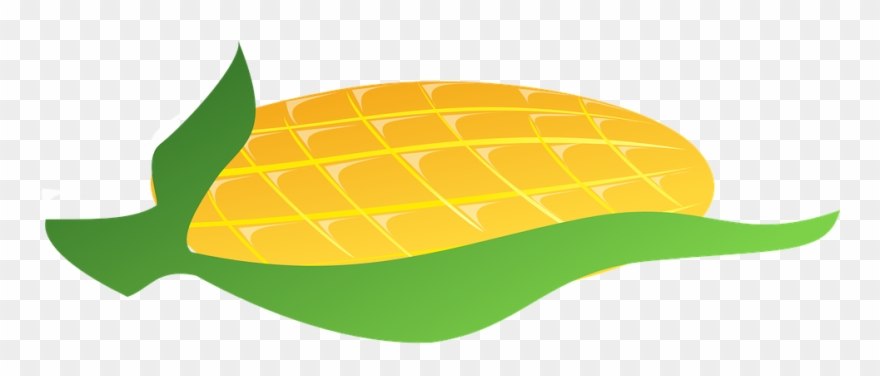 Indiana Cliparts 9, Buy Clip Art - Clip Art - Png Download