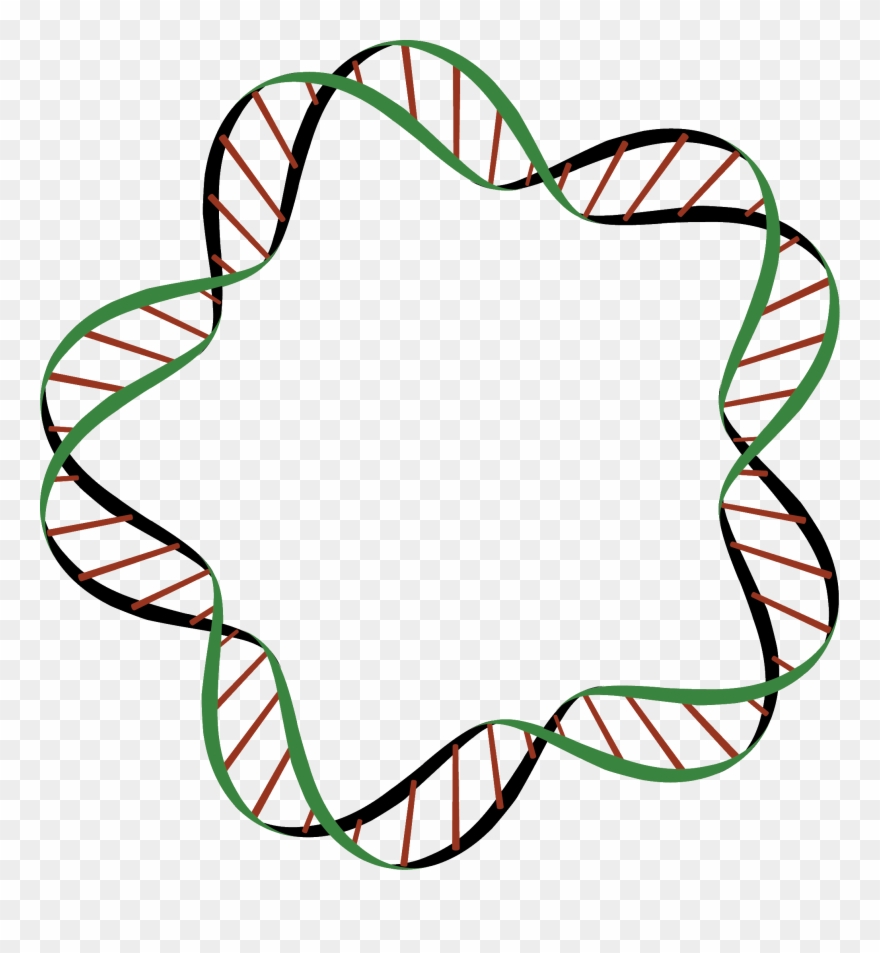 State Of Wisconsin, Dna On A Path - Dna Clipart Gif - Png Download