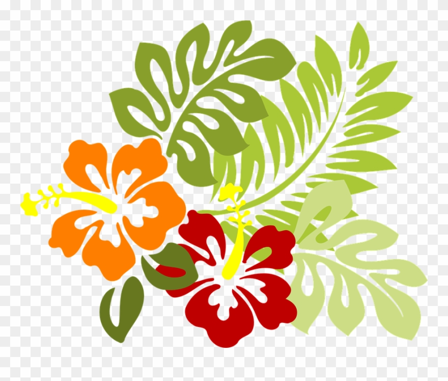 Flower Vector Png 22, Buy Clip Art - Hibiscus Clip Art Transparent Png