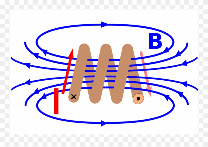 Line Organism Point - Clip Art - Png Download