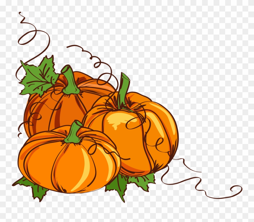Wedding Invitation Thanksgiving Clip Art - Pumpkin Vines Clip Art - Png Download