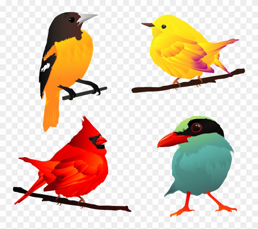 250 Free And Premium Animal Vectorsall Things Illustration - Beautiful Birds Clip Art - Png Download