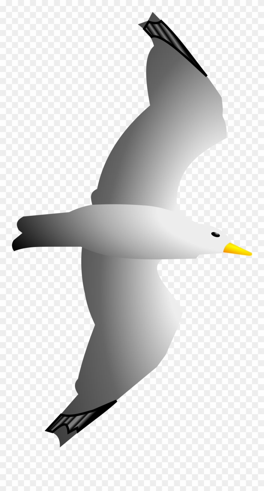 Seagull Clipart Clip Art Library - Cartoon Seagulls Transparent Background - Png Download