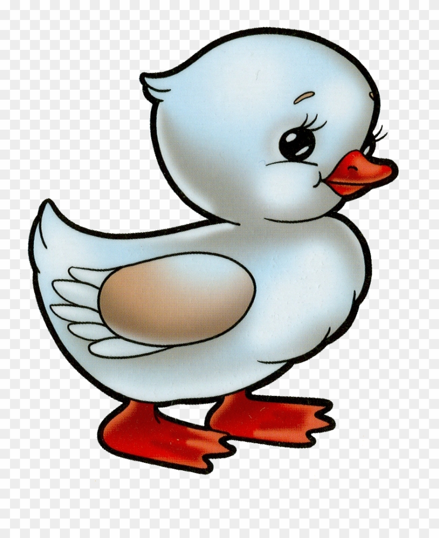 Фото, Автор Svetlera На Яндекс - Утенок Для Детей Clipart