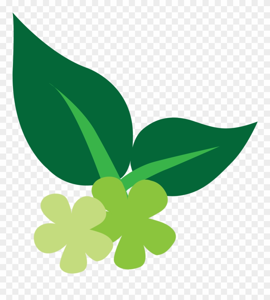 Key Natural Ingredients - Logos Of Face Cream Clipart