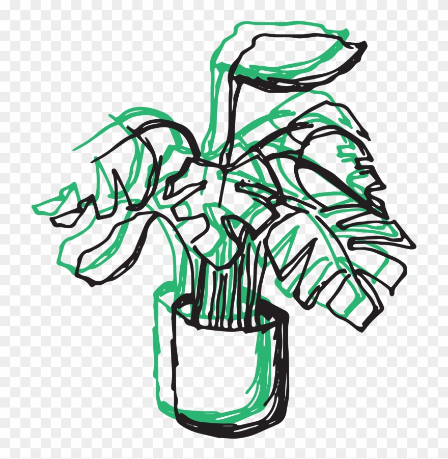 Your Guide To Indoor Greenery Clipart