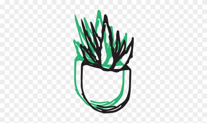 Aloe Vera Light Clipart