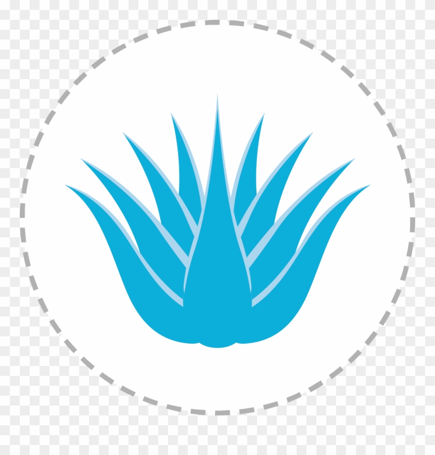 Aloe Vera - Nonprofit Organization Clipart