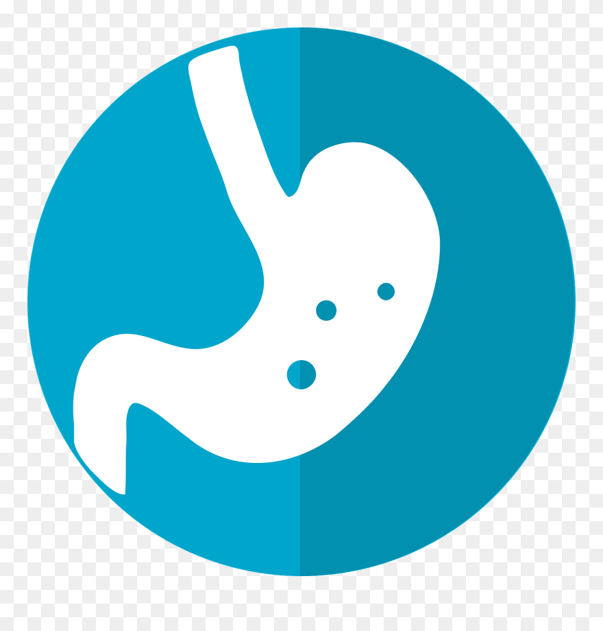 Healthy Digestion - Dạ Dày Icon Clipart