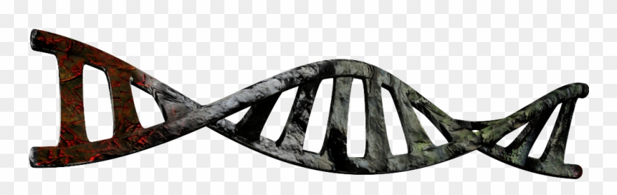 Double Helix Logo Clipart - Double Helix Dna Png Transparent Png