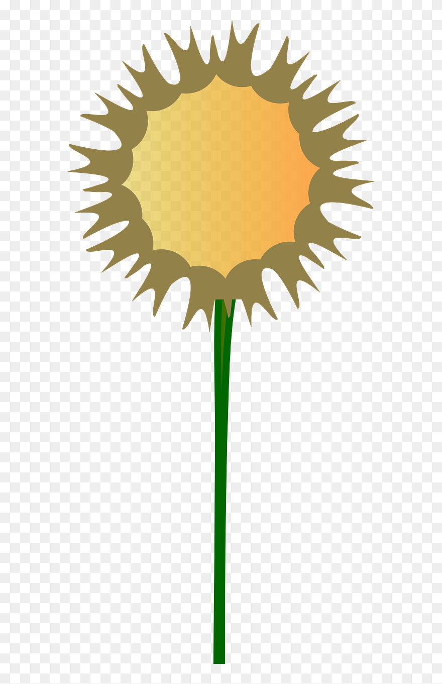 Thistle Flower Clipart By Angelo Gemmi - Stem Of Plant Clip Art - Png Download