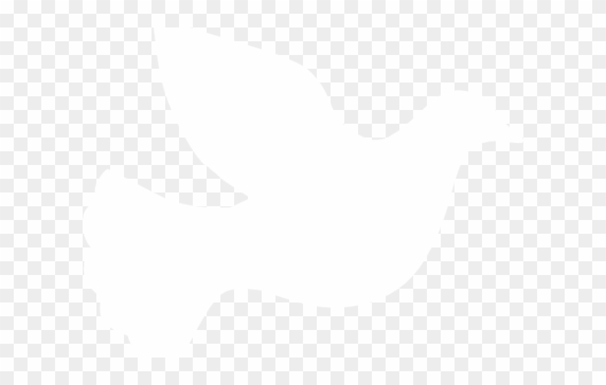 White Dove Vector Png Clipart