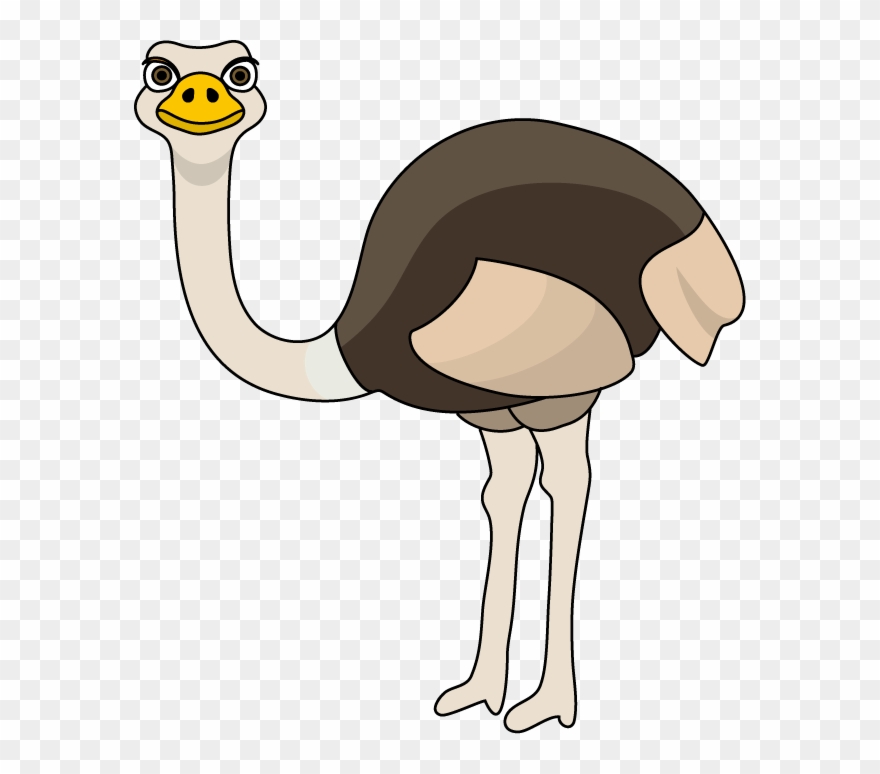Royalty Free Ostrich Clipart - Ostrich Clipart - Png Download