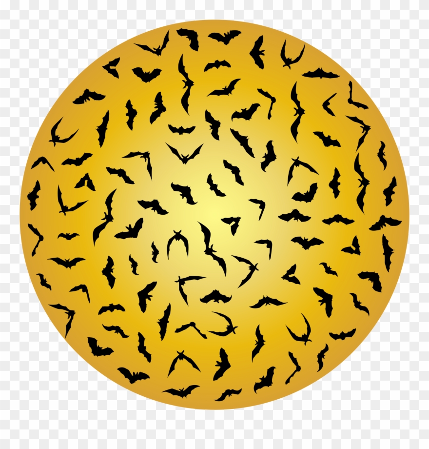 Big Image - Circle Clipart