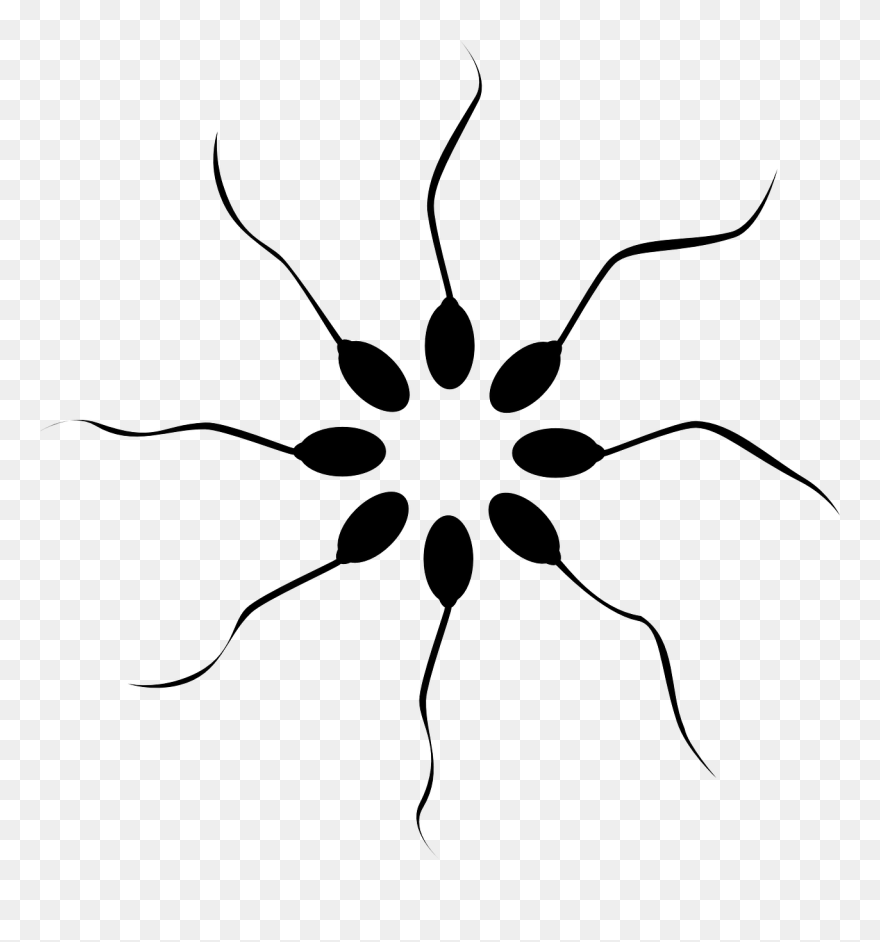 Embryo Transfer Clipart