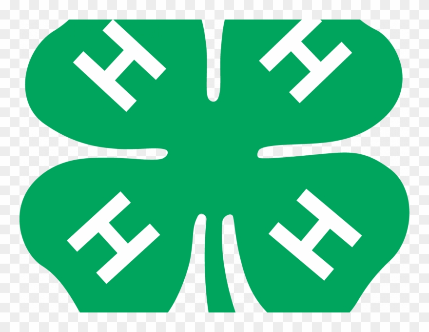 Good Looking 4 H Clipart - Transparent Background 4 H Clover - Png Download