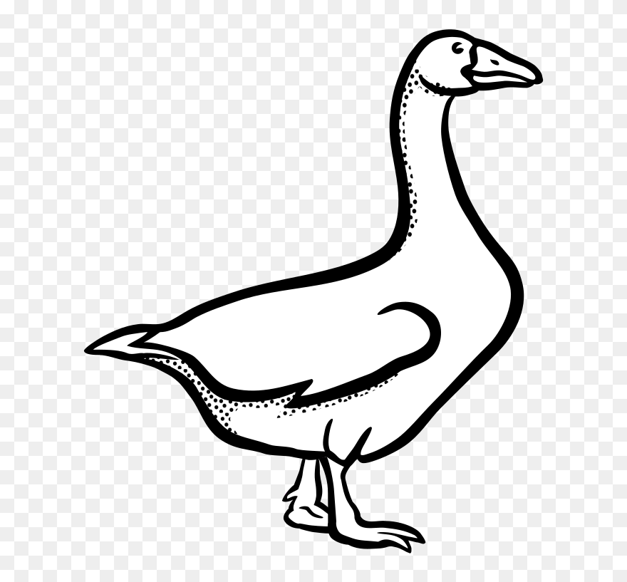 Canada Goose Mute Swan Bird Vertebrate - Geese Black And White Clipart - Png Download