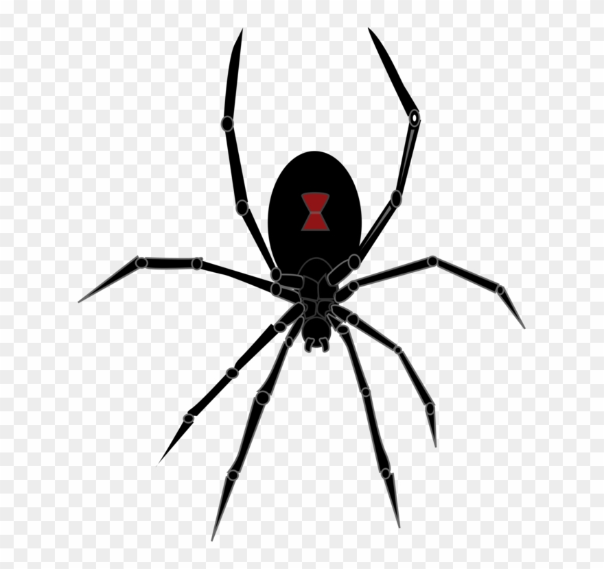 Spider Clipart Canada - Halloween Black Widow Spider - Png Download