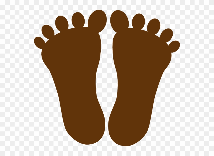 Brown Footprint Clipart - Png Download