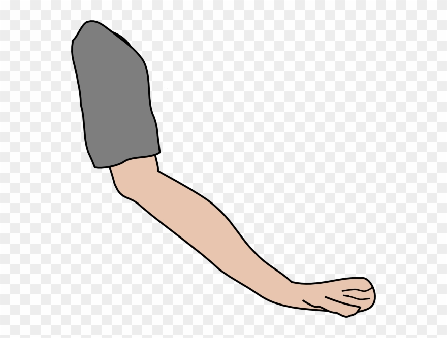 Griffin Clip Art - Animated Picture Of Arms - Png Download