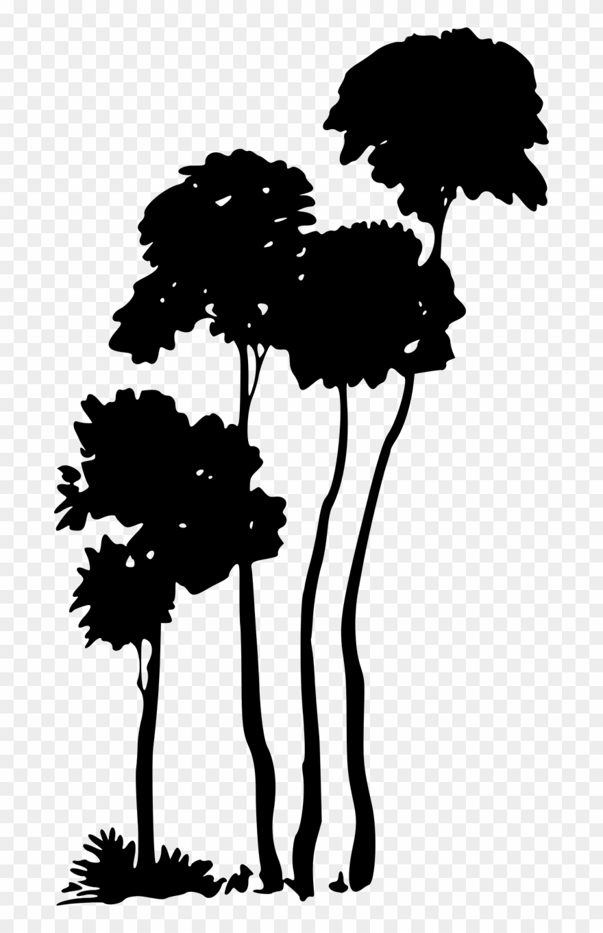 Nature Plant Tree Vegetation - Arthur Rackham Aschenputtel Mauspad Clipart