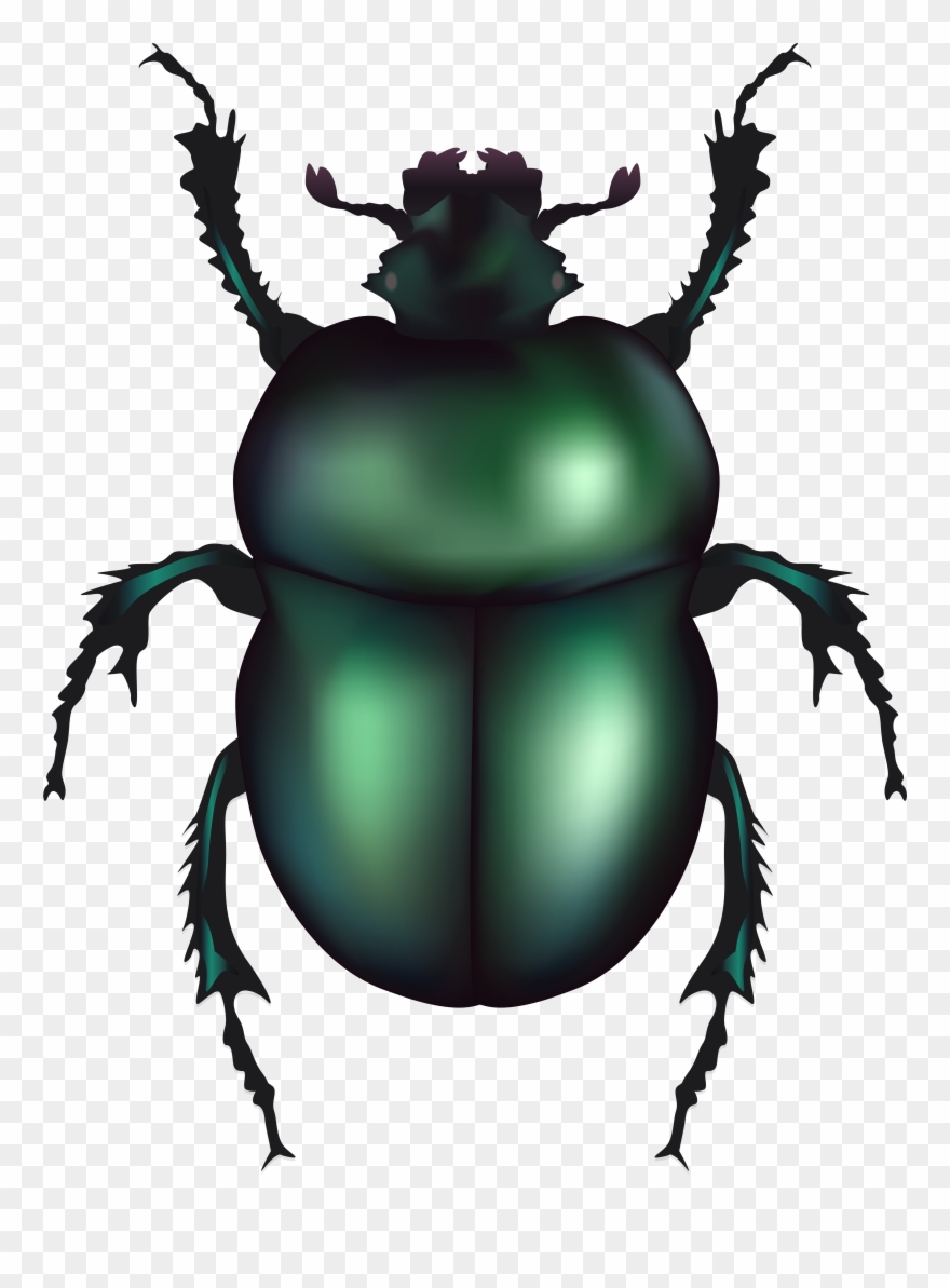 Green Rose Chafer Beetle Png Clip Art Transparent Png