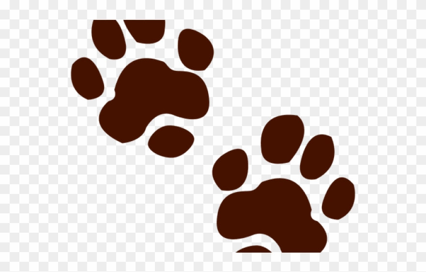 Footprint Clipart Lion - Animal Track - Png Download
