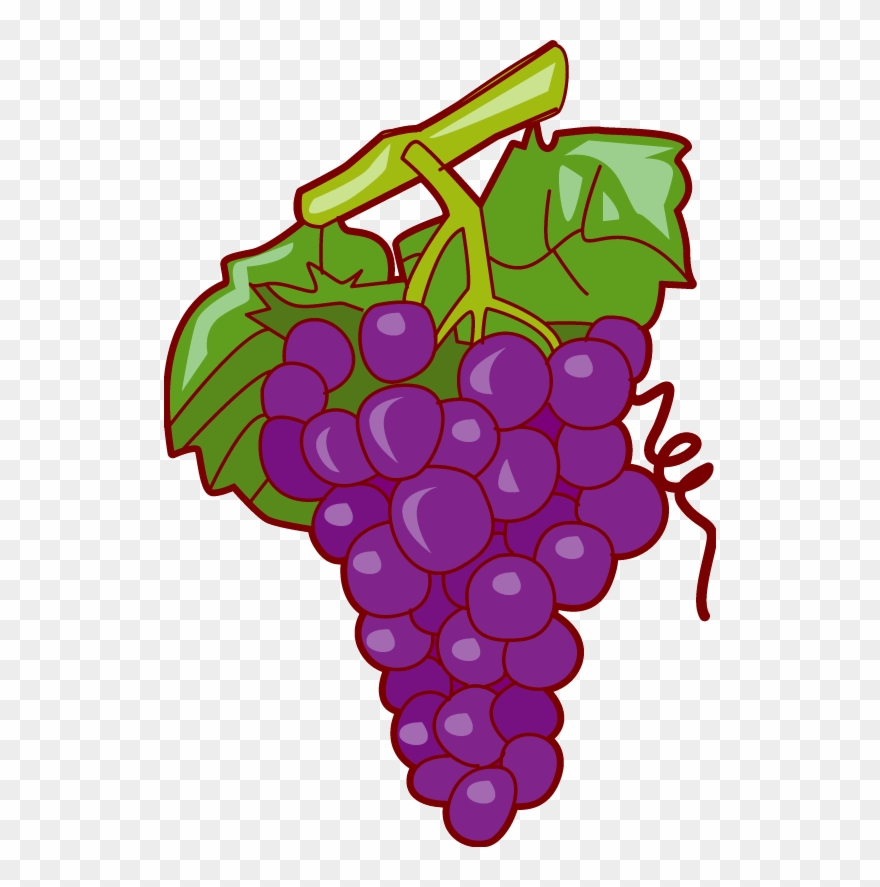 Grapes Panda Free Images Fruit Clip Art - Fruit Clipart - Png Download