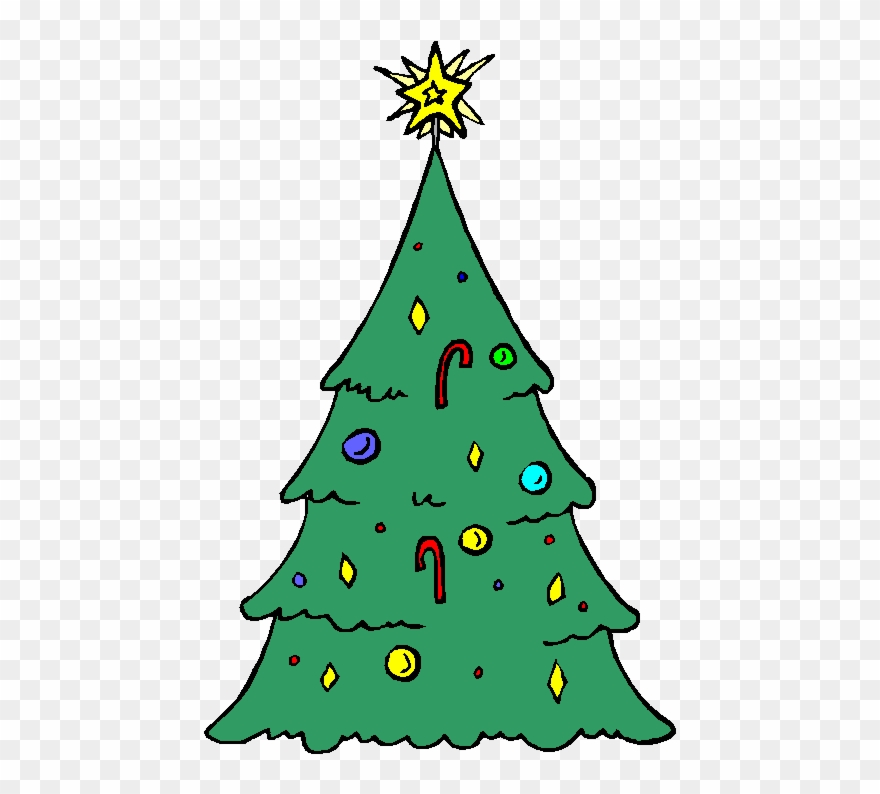 Of The Stately Fir Tree Remains Green All Year Round, - Christmas Clipart
