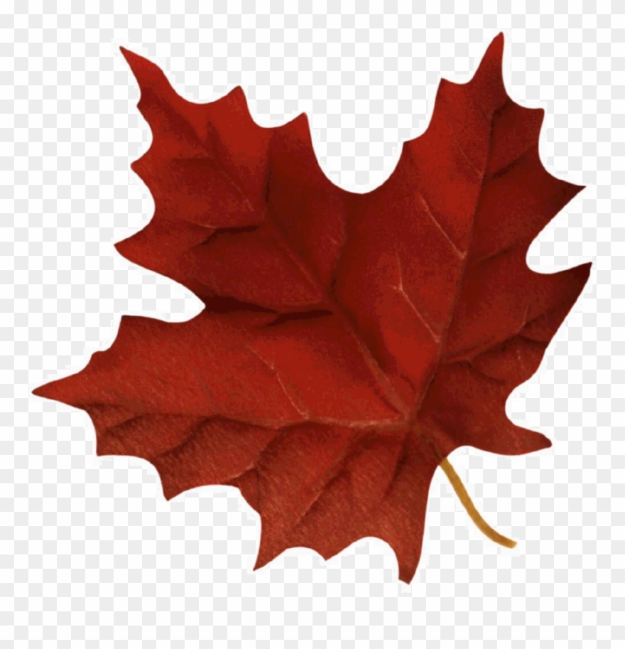 Autumn Fair - Red And Brown Leaf Clipart