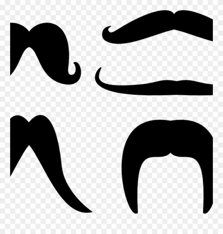 Clipart Mustache Moustache Free Images Clipartix School - Clipart Mustache - Png Download