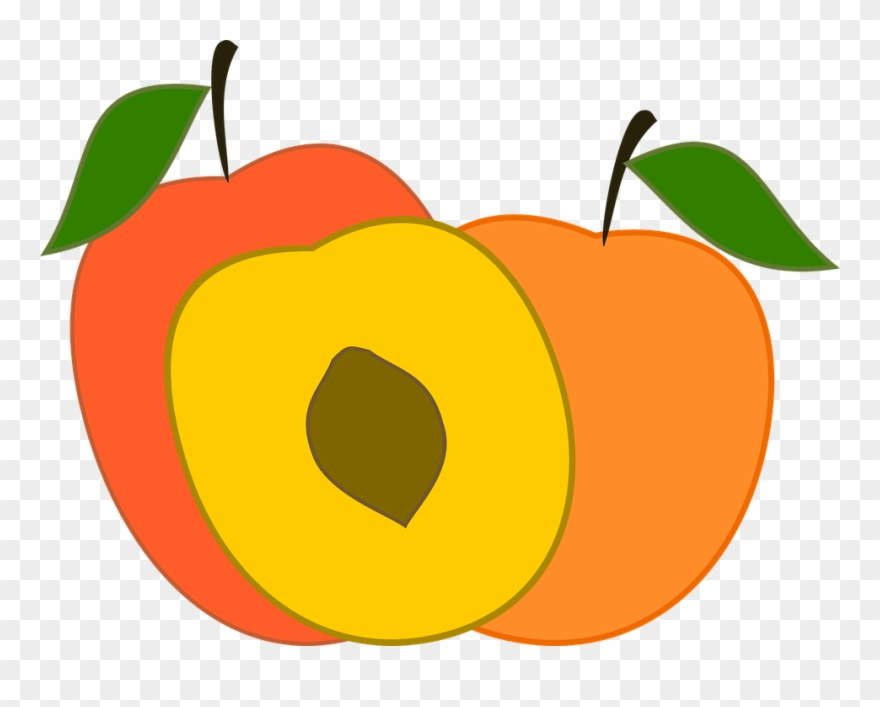 Apple Picking Clipart 4, Buy Clip Art - Transparent Peach Vector - Png Download