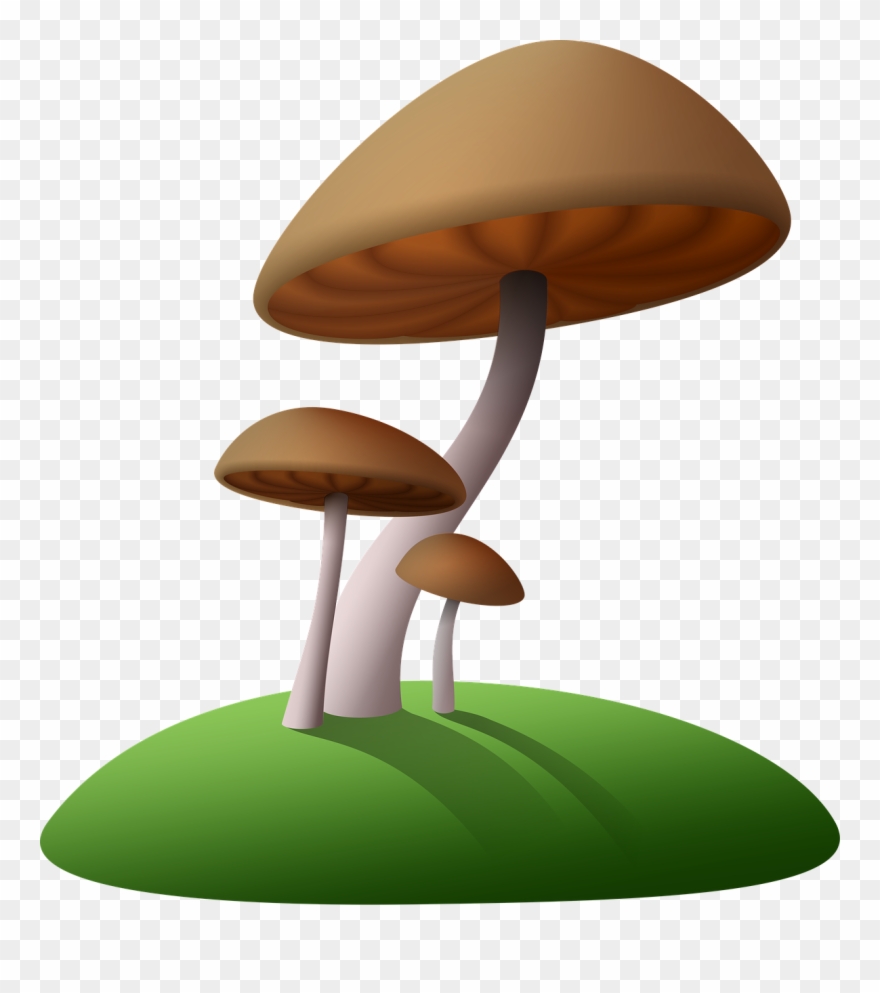 Cartoon Tree Stump 9, Buy Clip Art - Transparent Background Mushroom Clip Art - Png Download