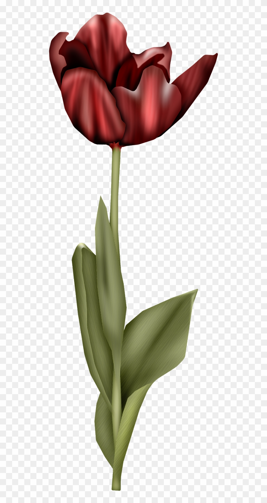 Delicate Retro Birds Clipart - Tulip - Png Download