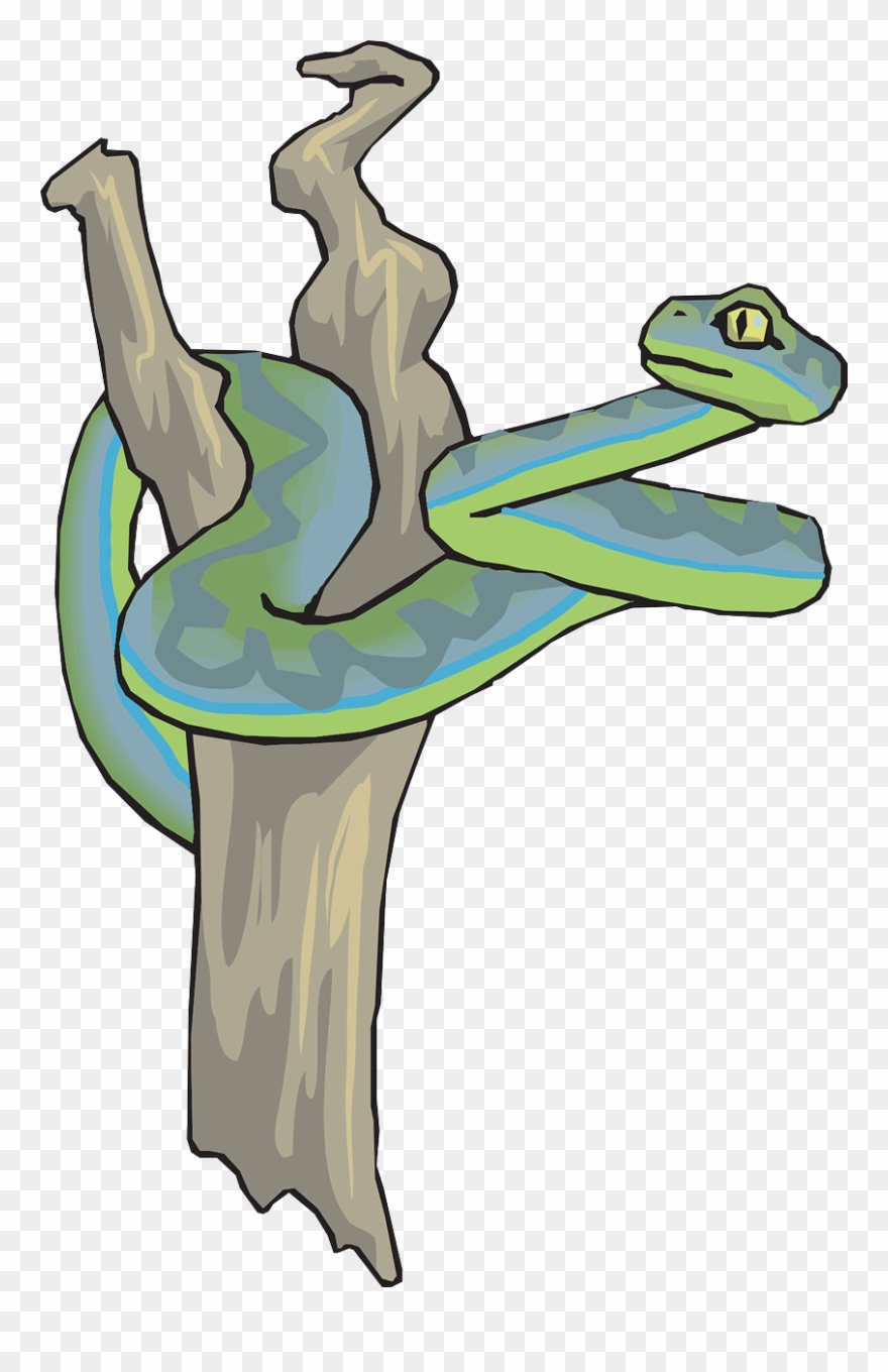 Snake Dead Tree Branch Reptile Png Image - Serpiente En Un Arbol Clipart