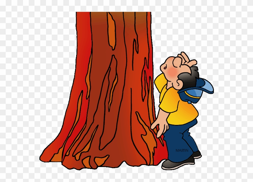 Redwood Tree Silhouette Clipart - Red Wood Tree Clipart - Png Download