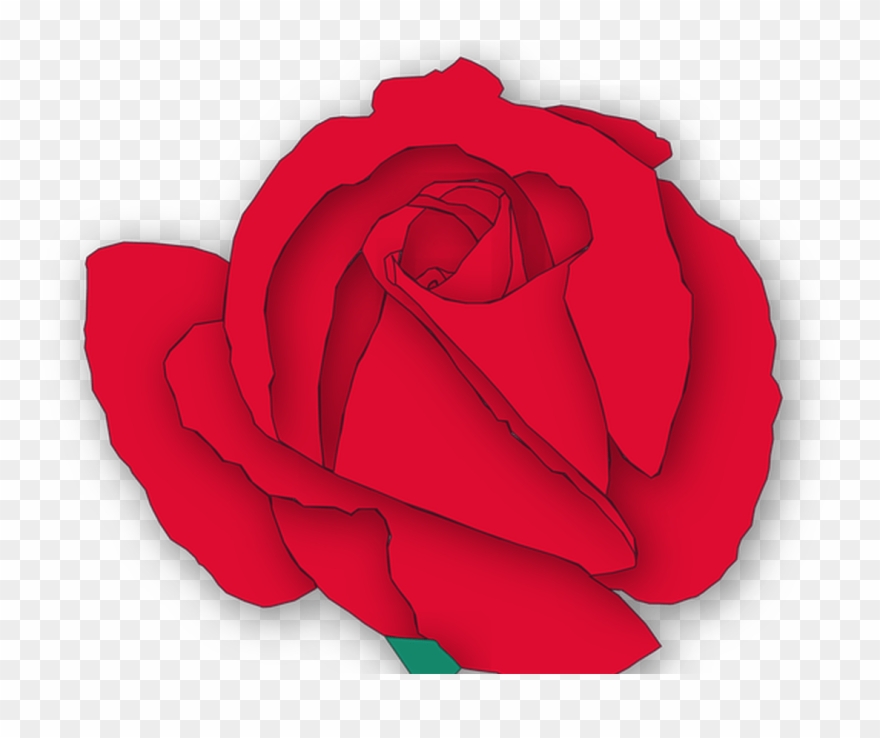 Rose Flower Flora Free Vector Graphic On Pixabay - Vector Graphics Clipart
