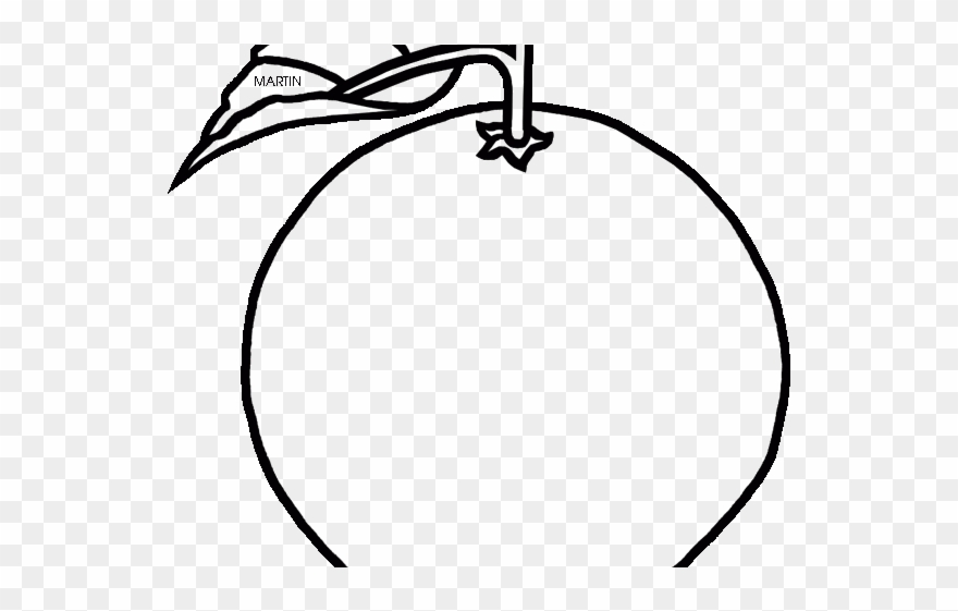 Orange Fruit Clipart Florida State - Florida - Png Download