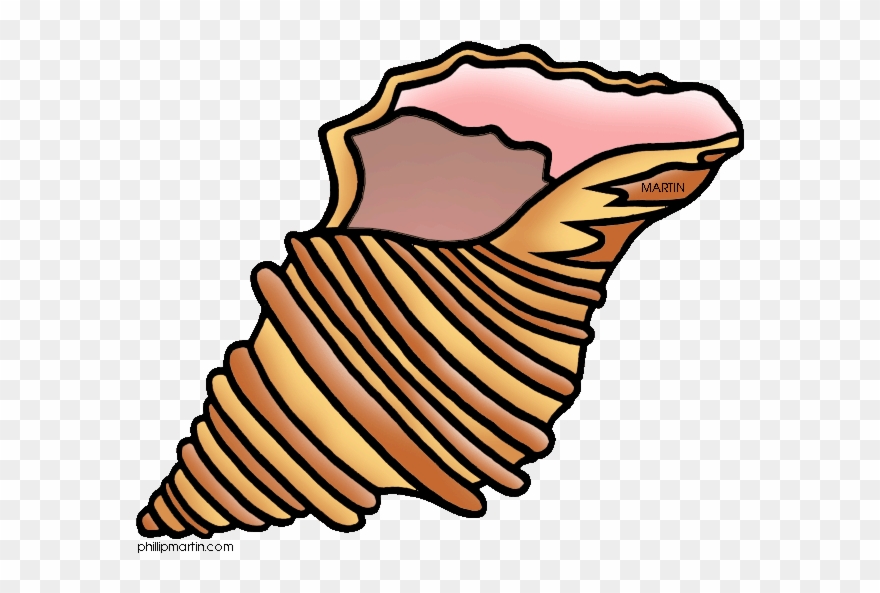 Arachnid Clipart Spider Hanging - Clip Art - Png Download