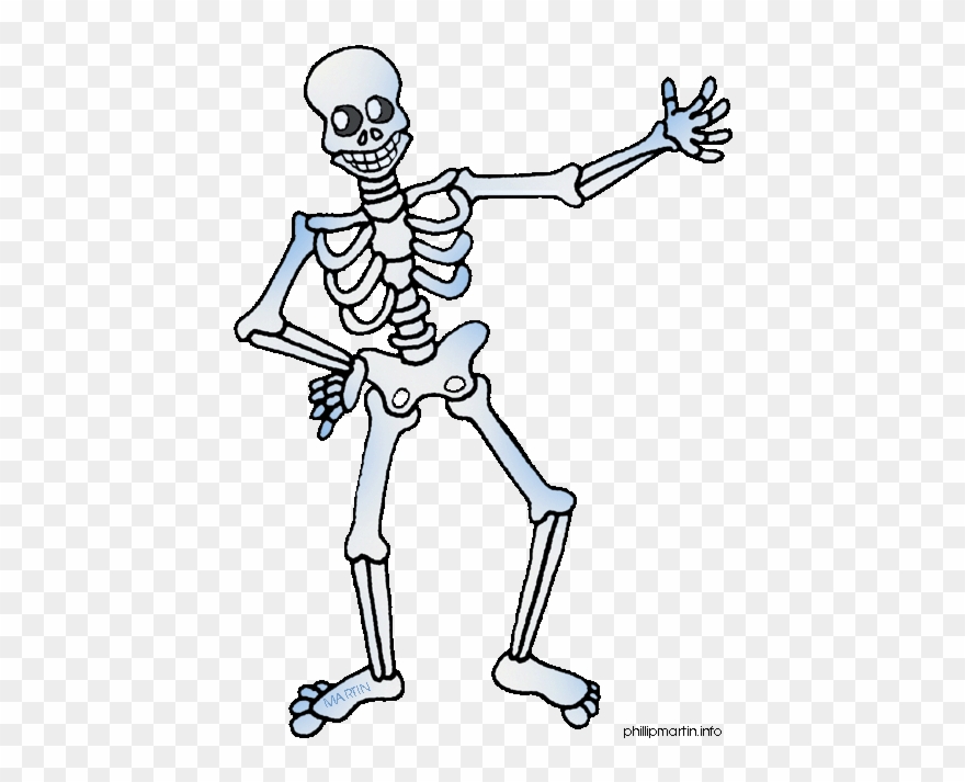 Metal Clipart Free Clipart Human Body - Skeleton Clipart - Png Download