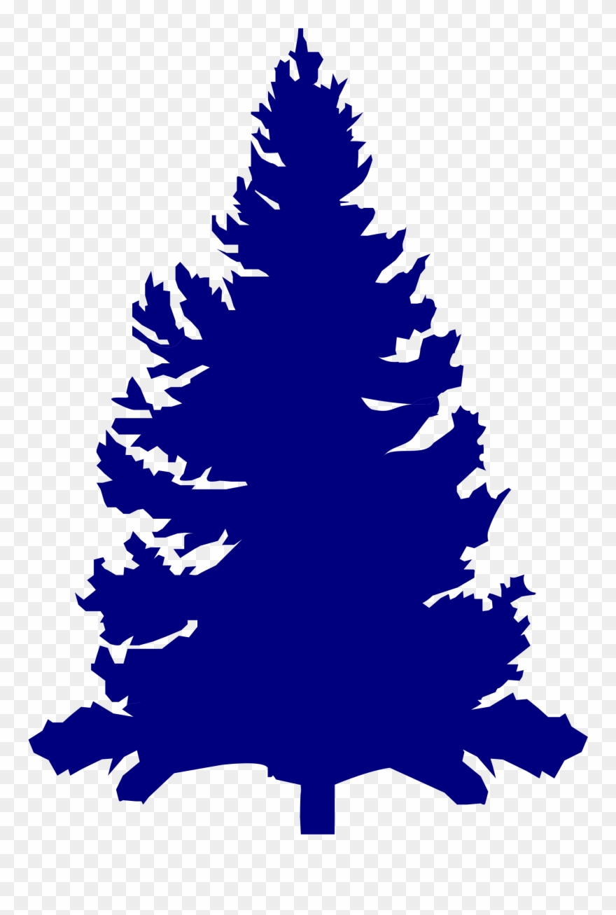Pine Tree Vector 7, Buy Clip Art - Pinus Vector - Png Download