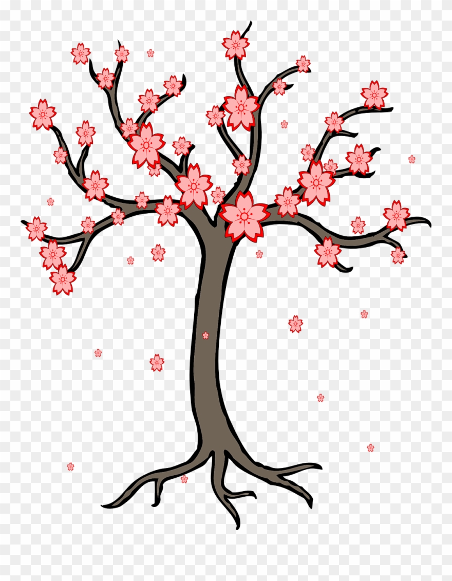 Cherry Blossom Cherry Tree Png Image - Tree Trunk Clipart Png Transparent Png