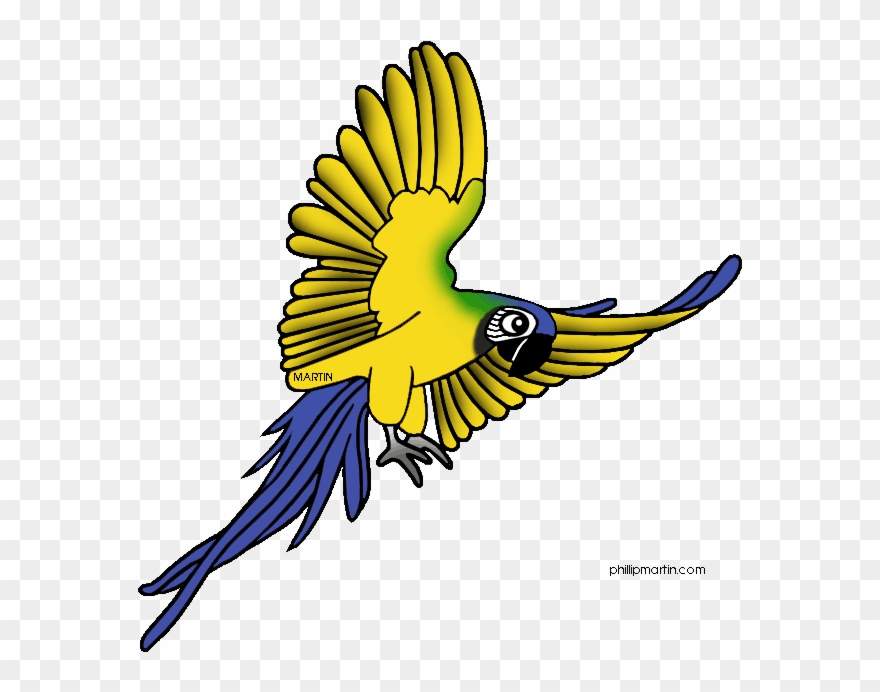 Free Rainforest Animals Clip Art By Phillip Martin, - Rainforest Animals Transparent - Png Download