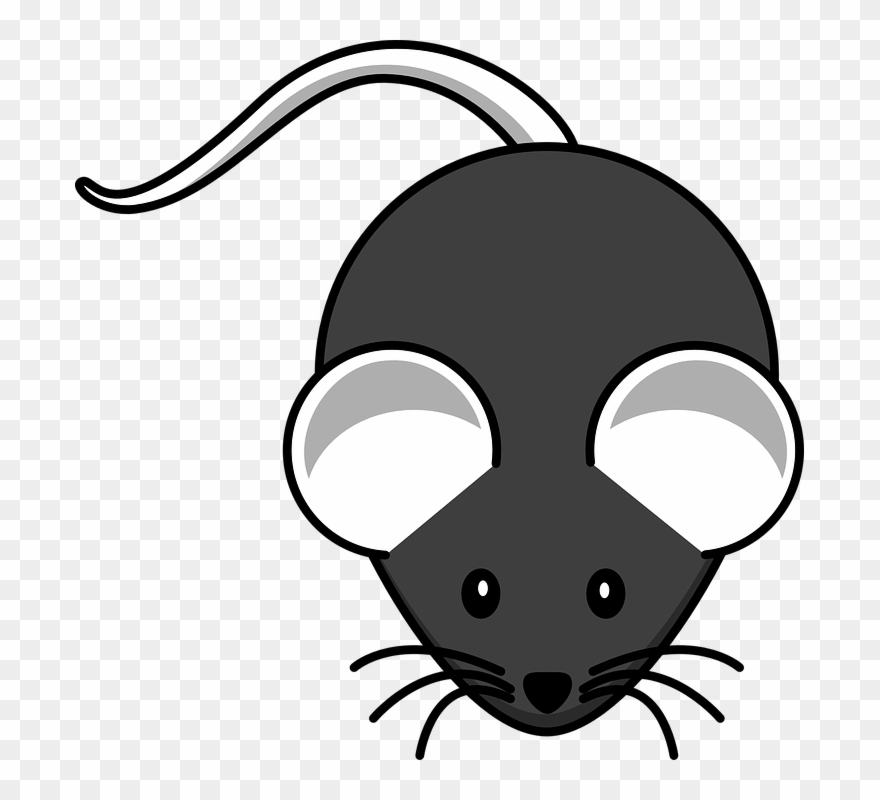 Cartoon Mouse Cliparts 11, Buy Clip Art - Mouse Clip Art - Png Download