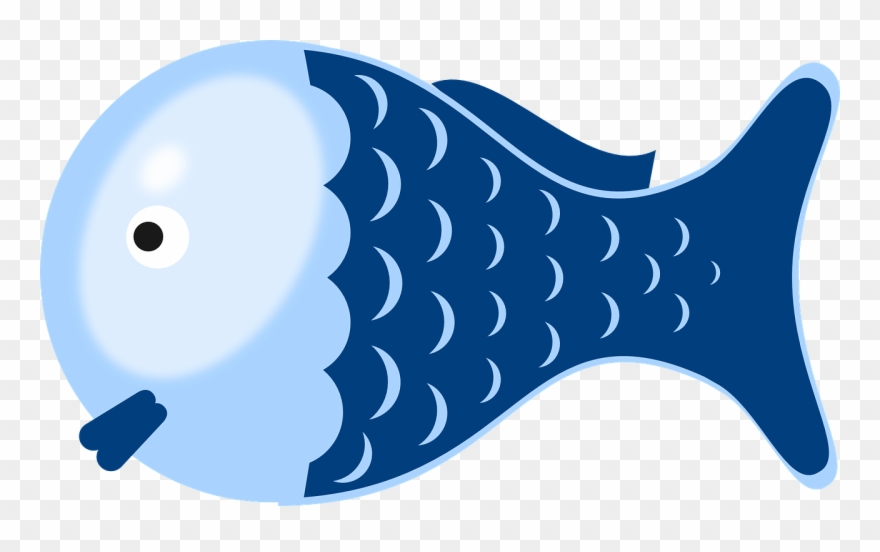 Fish Cartoon 14, Buy Clip Art - รูป ปลา การ์ตูน น่า รัก - Png Download