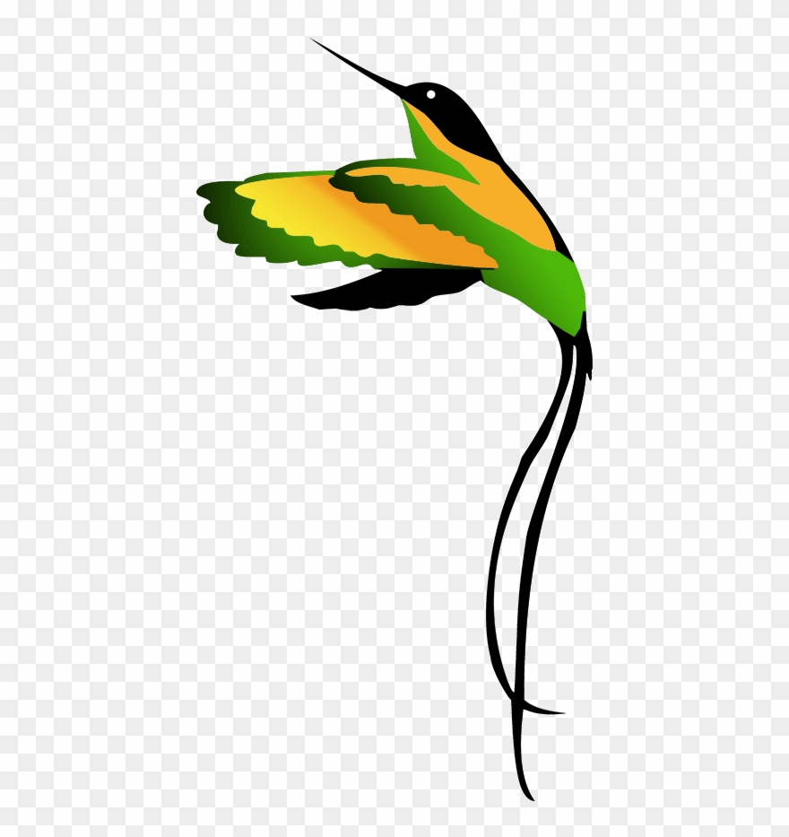 Jamaican National Bird Clipart Drawing - Jamaican National Bird Drawing - Png Download