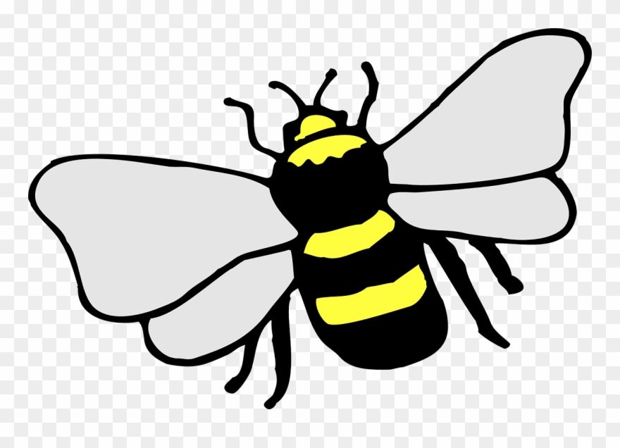 Cute Bee Pictures 17, Buy Clip Art - Simple Drawing Of A Bee - Png Download