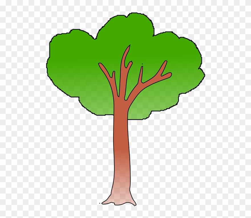 Cartoon Tree Cliparts 12, Buy Clip Art - Un Árbol Verde - Png Download