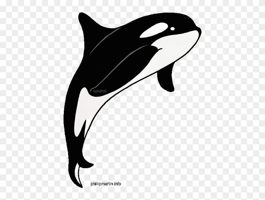 Whale Black And White Free Whale Clipart Black And - Orca Clipart - Png Download