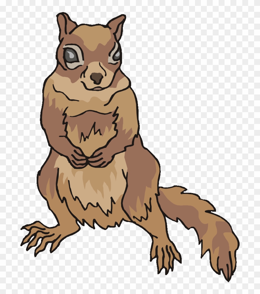 Free Squirrel Clipart - Cartoon - Png Download